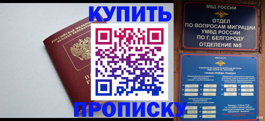 прописка регистрация в Краснозаводске